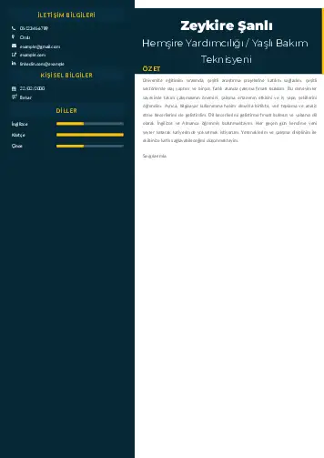 Hasta ve Yaşlı Bakım Elemanı Cv Örnekleri cv indir